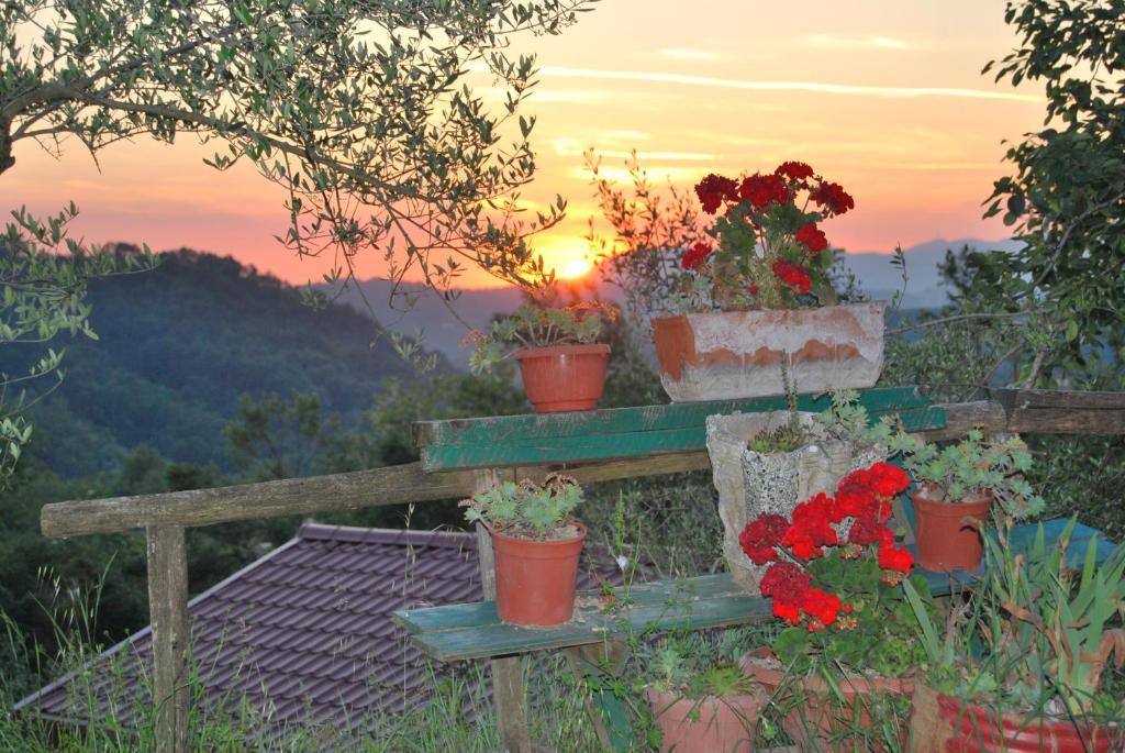 Agriturismo Cisogna Villa Anagni Exterior foto